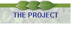 THE PROJECT